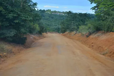 DSC_4861 (Large).JPG